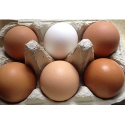 Mixed Size Free range Eggs 1/2 dozen